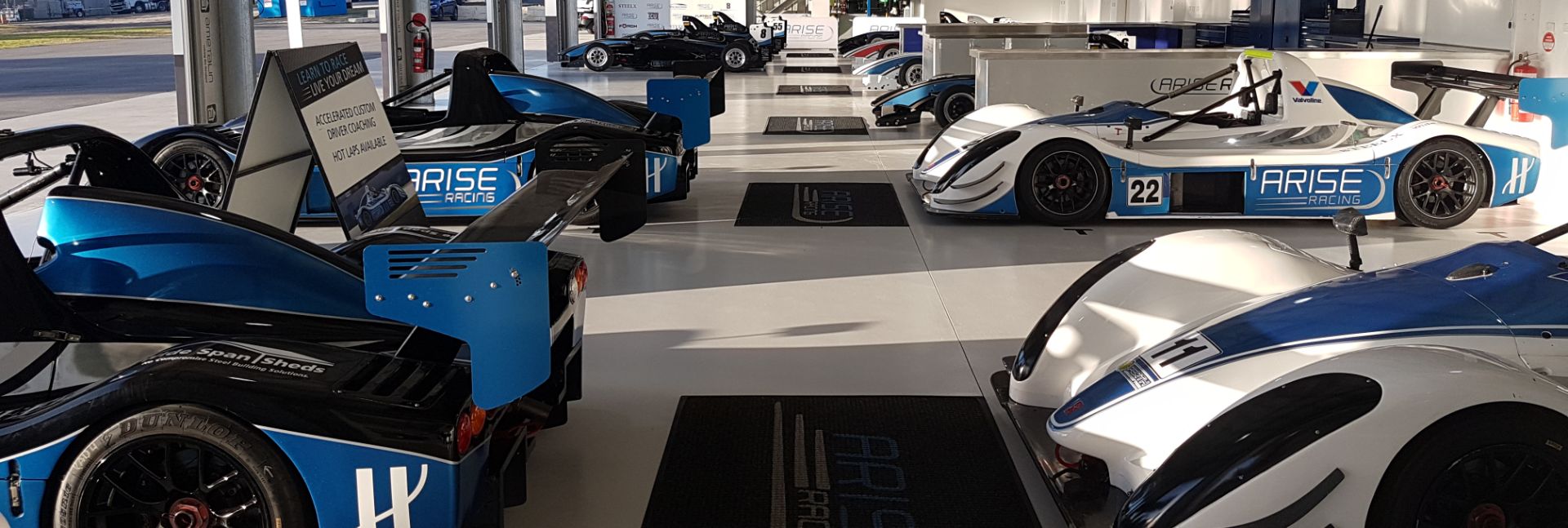 Cars Cars
